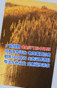 叙州代怀市政工程经营部